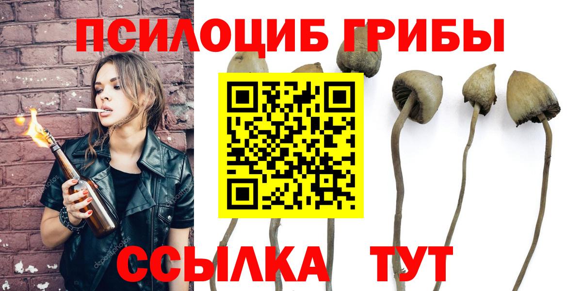 Десногорск  Галлюциногенные грибы Psilocybe  Вход с VPN  что такое   Галлюциногенные грибы прущие грибы 
