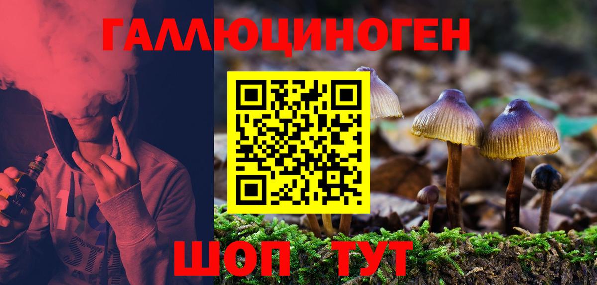 Галлюциногенные грибы Psilocybe Десногорск